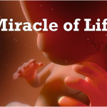 The Miracle of Life in 360°