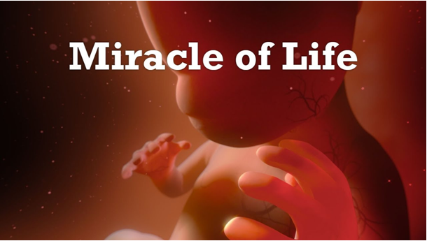 The Miracle of Life in 360°